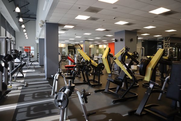 Read more about the article Wilfit Sports Club – 3470 Wilshire Blvd #100, Los Angeles, CA 90010
