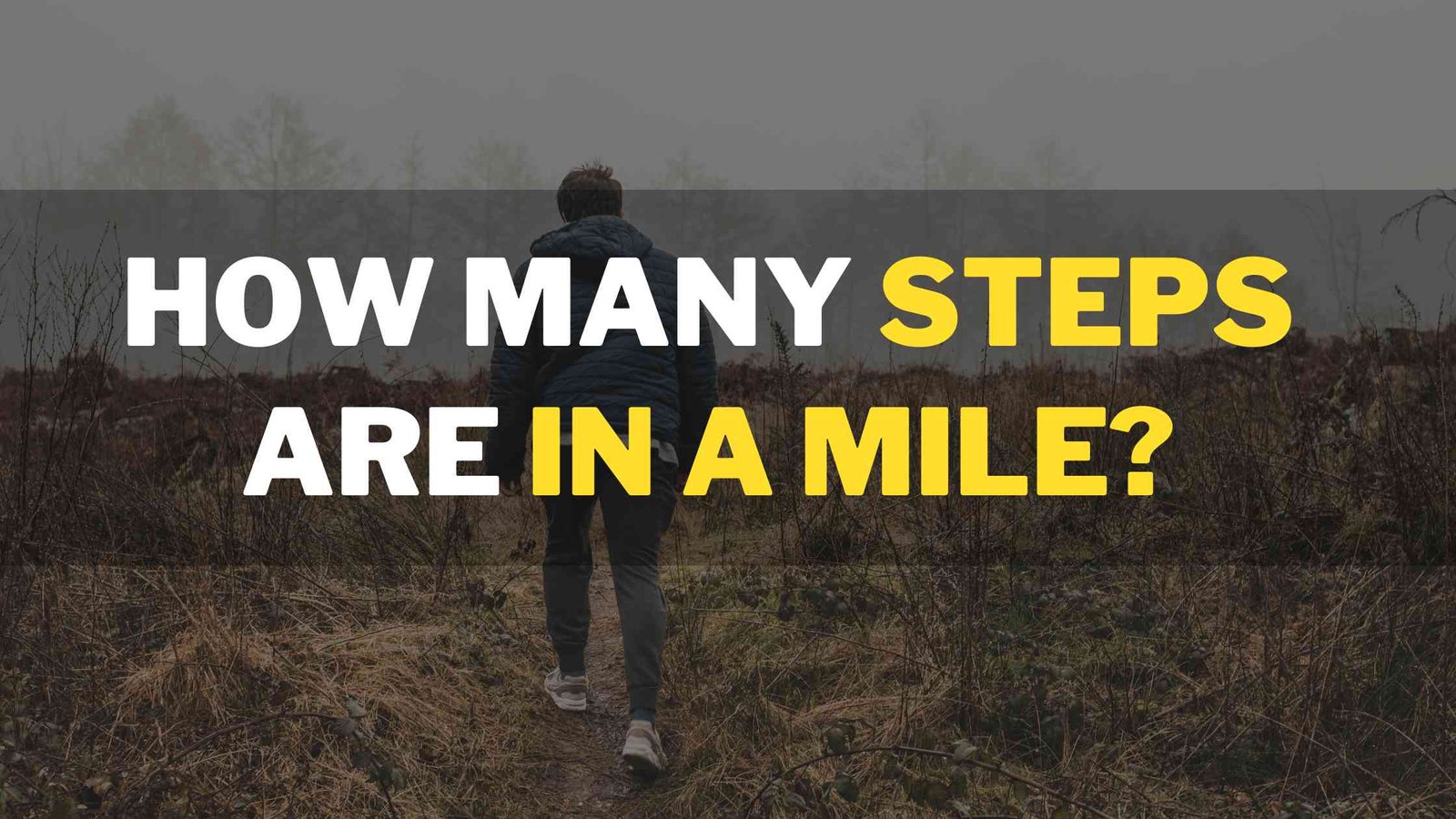 Read more about the article How Many Steps are in a Mile? (Calculator Included)